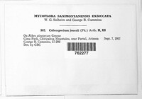 Image Associated With the Occurence